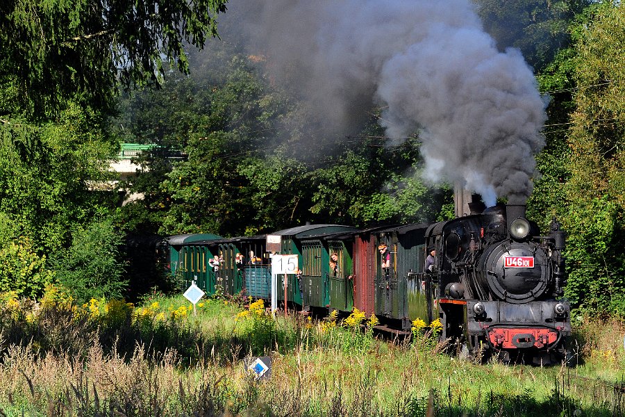 2021.09.25 JHMD U46.101 Jindřichův Hradec - Nová Bystřice (1)